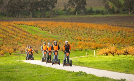 Segway Sensation SA